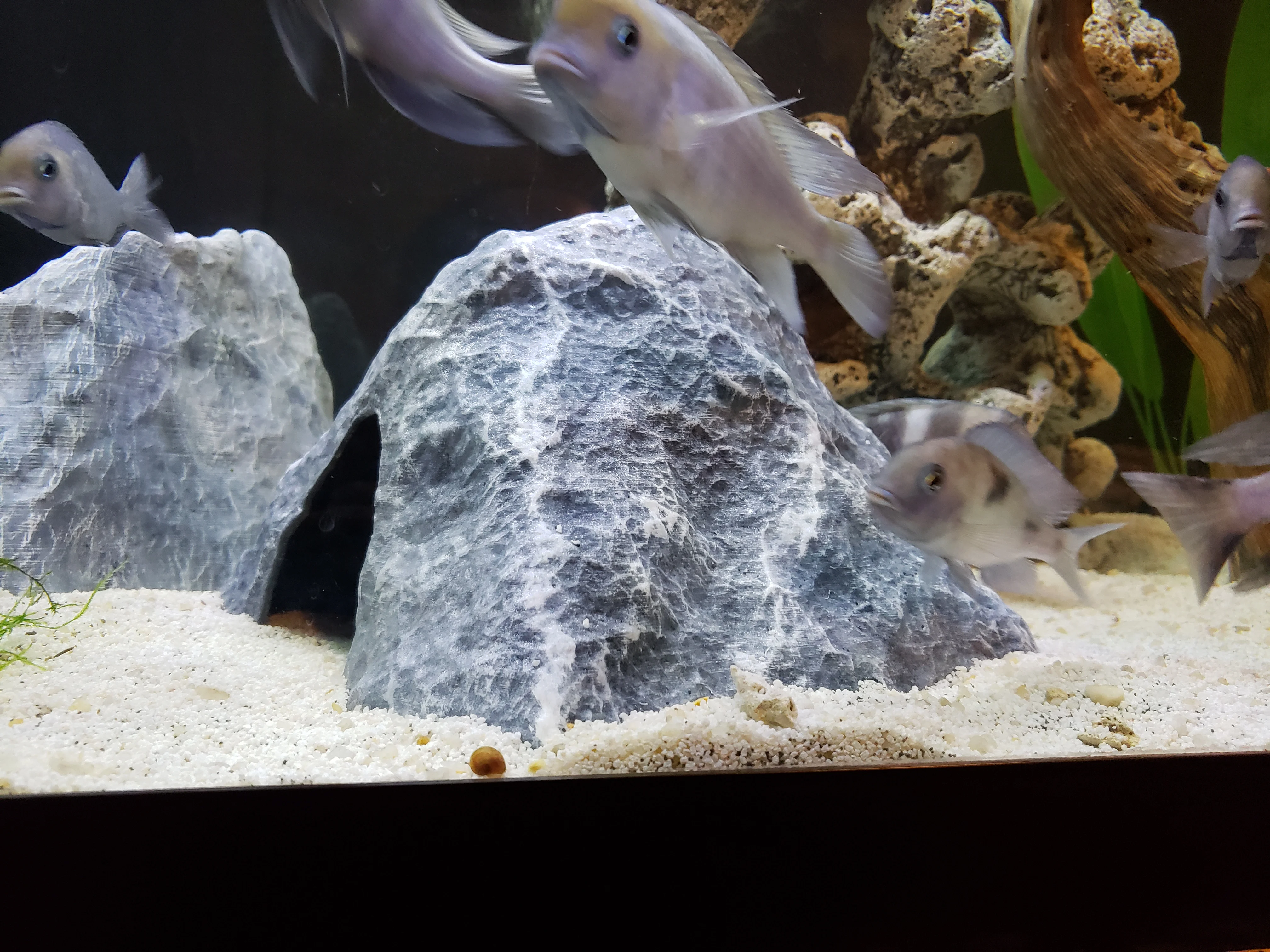 Aquarium Decoration - Textured Rock Cave - Large Tented
