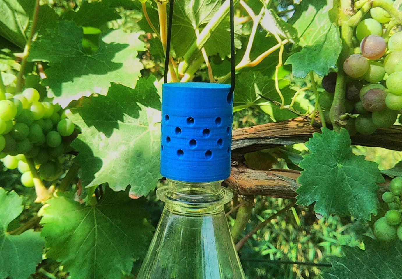 Flytrap for fruitfly PET screwable / Fruchtfliegen- Essigfliegen- KEF-Falle