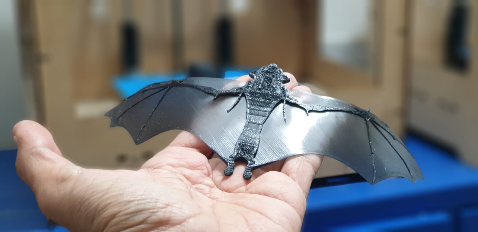 Bat for Coronavirus bats soup