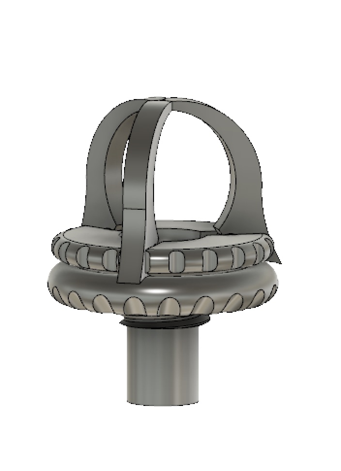 plug coraux  grosse bouture