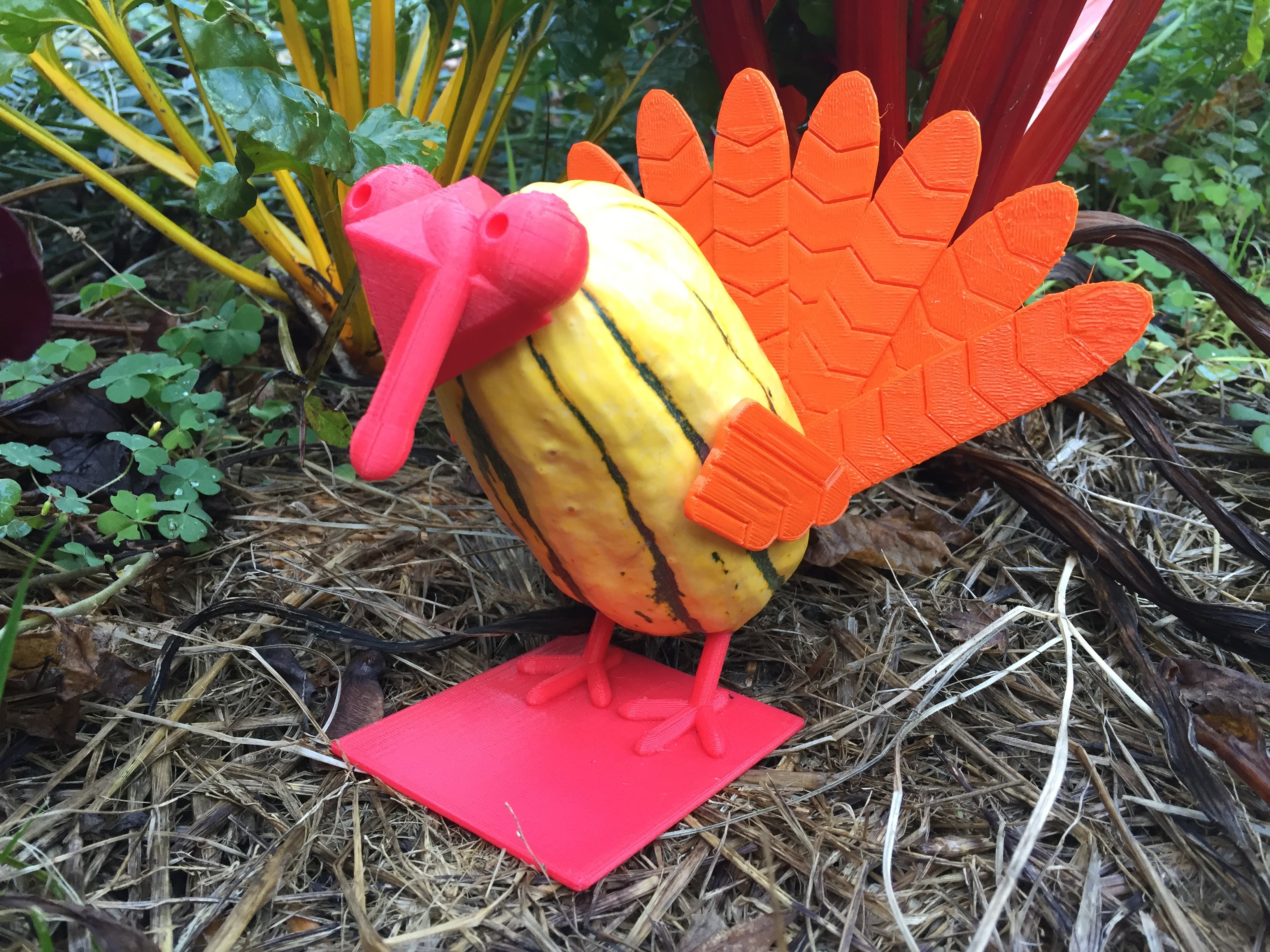 The Squash Gobbler