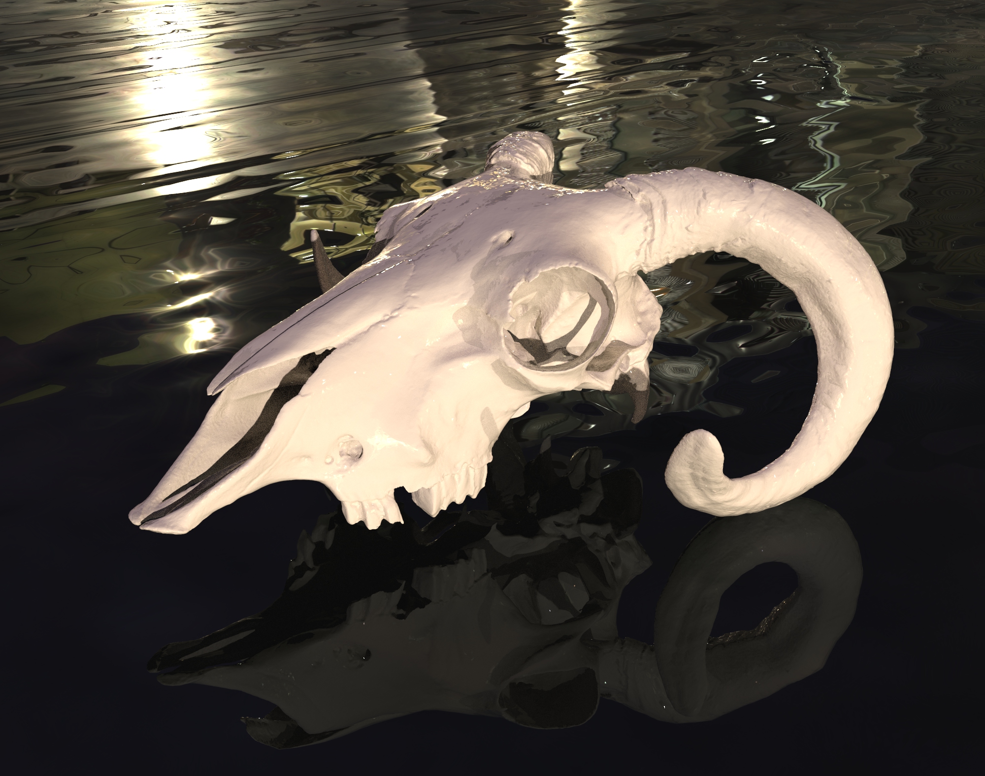 Ram scull real scan (For remixes)