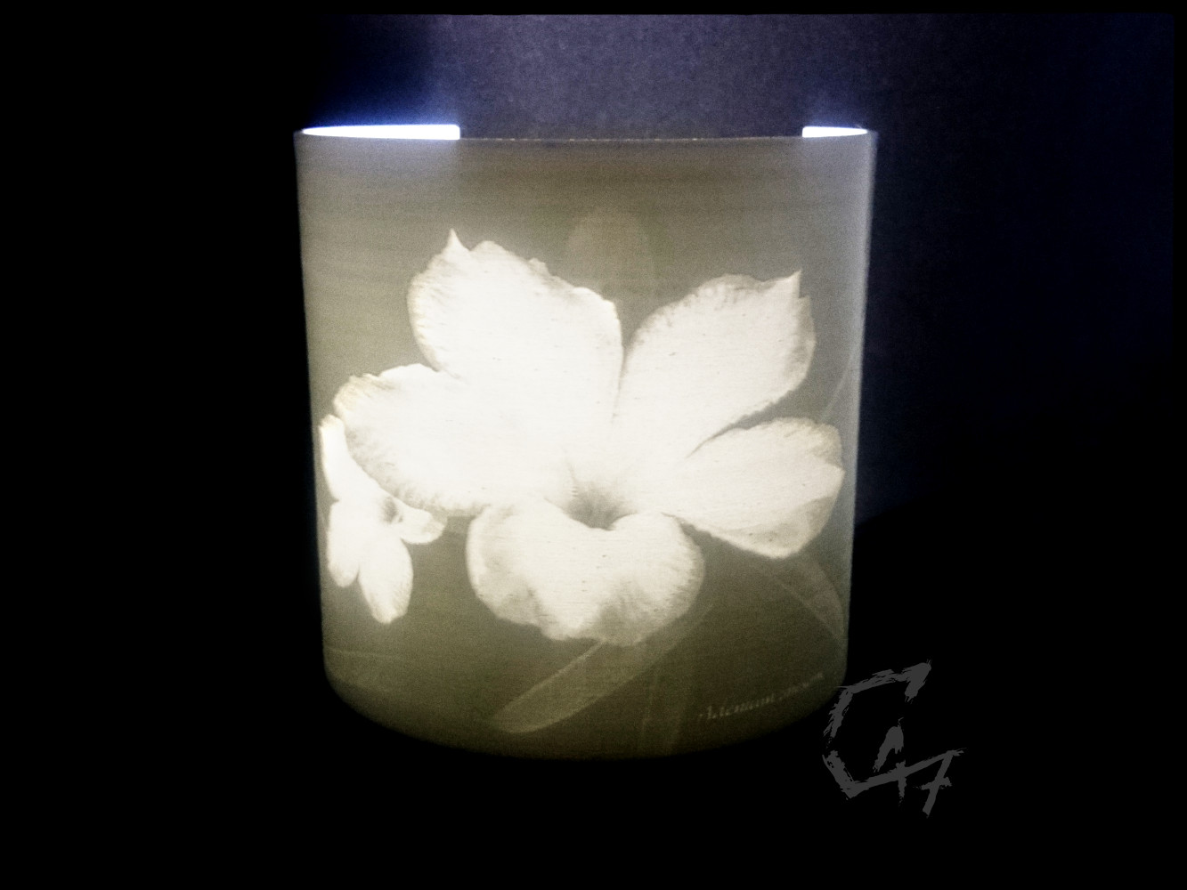 Lithophane Desert Rose