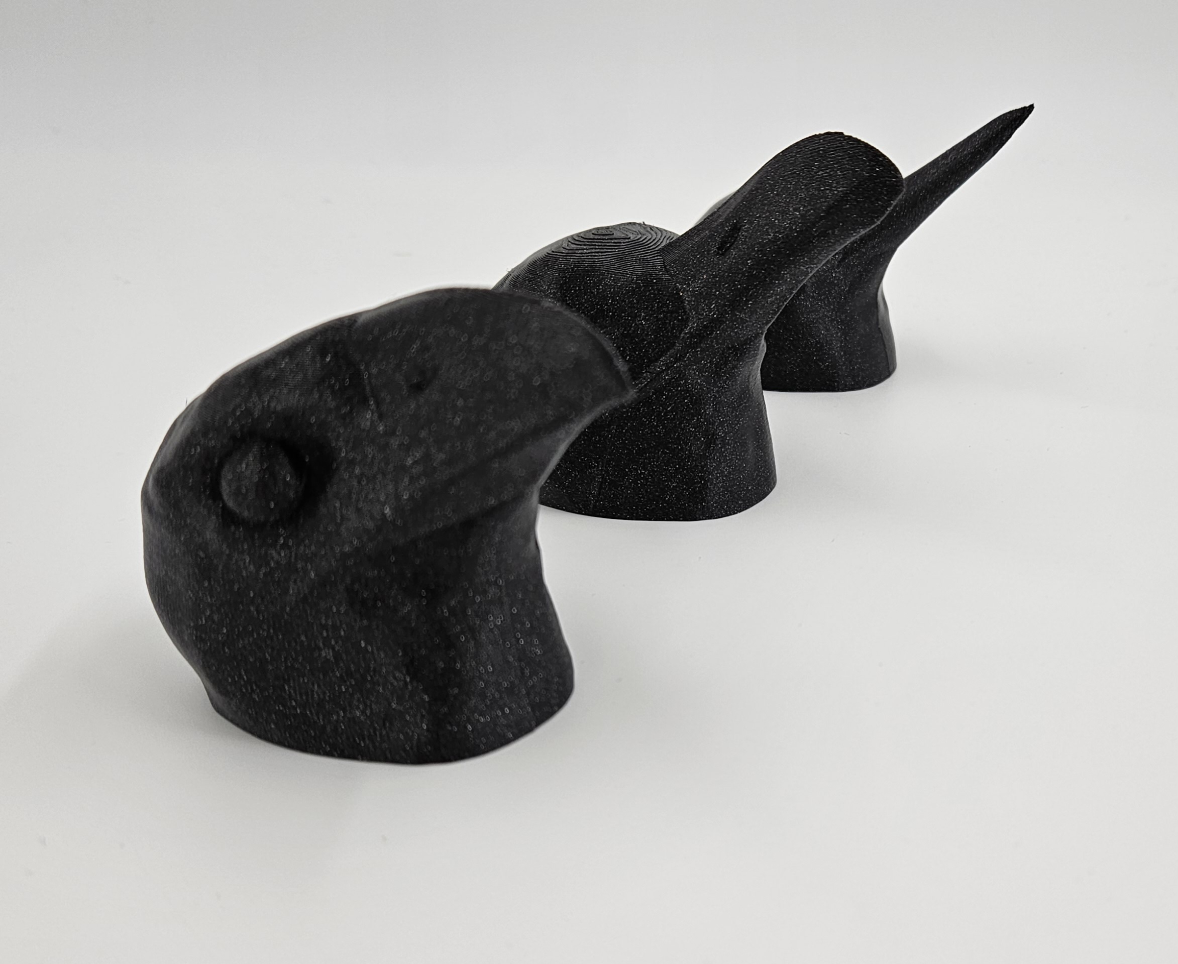 Collection of beaks of birds for education for VI