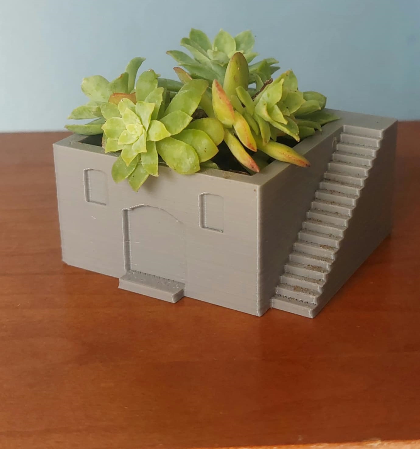 Minimalist House Planter