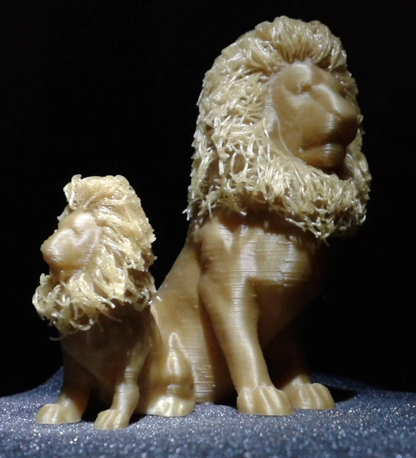 Hairy Lion