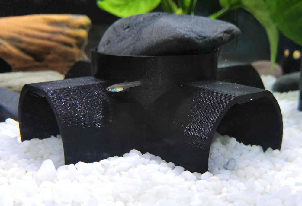 Aquarium Fish Cave