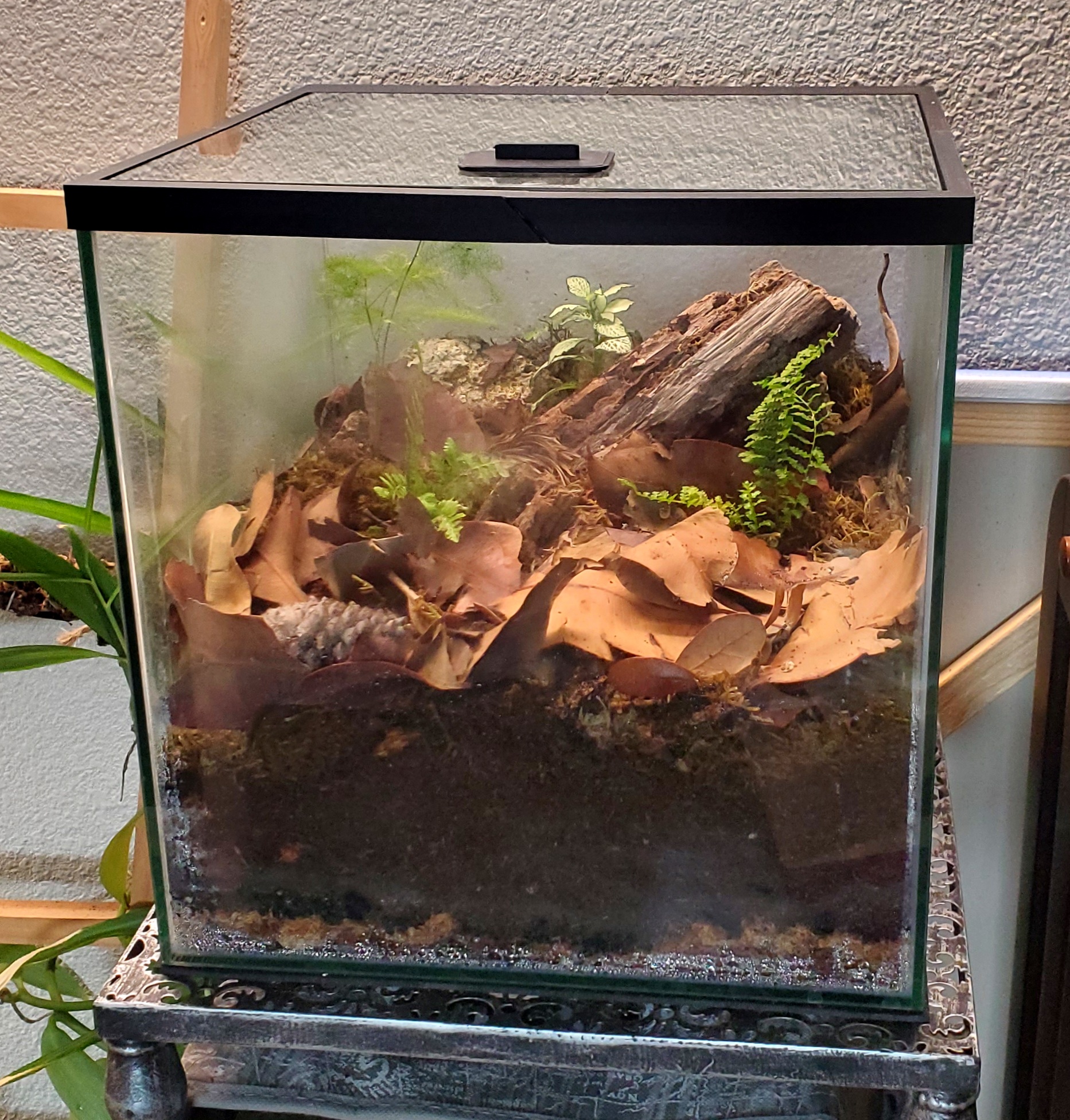 Lid for 6 Gallon Cube Imagitarium Tank