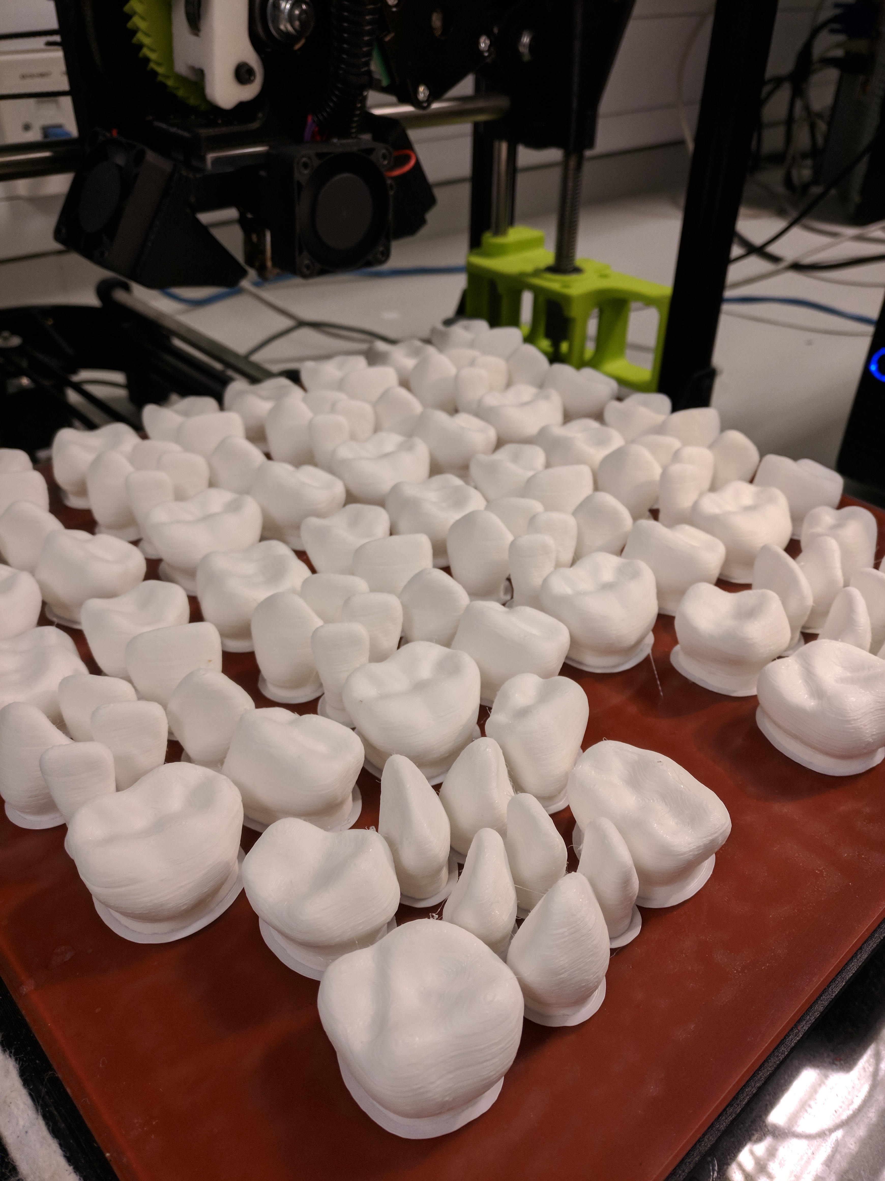 Pediatric teeth models
