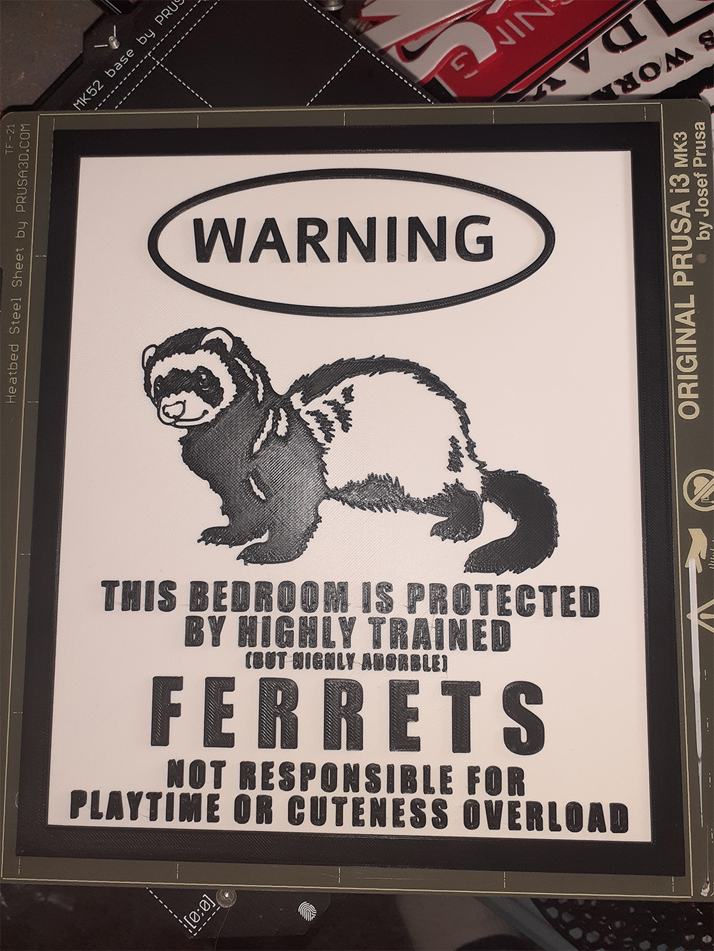 LOL - Warning Ferrets Kid Friendly Version