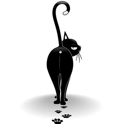 2d Cat from behind