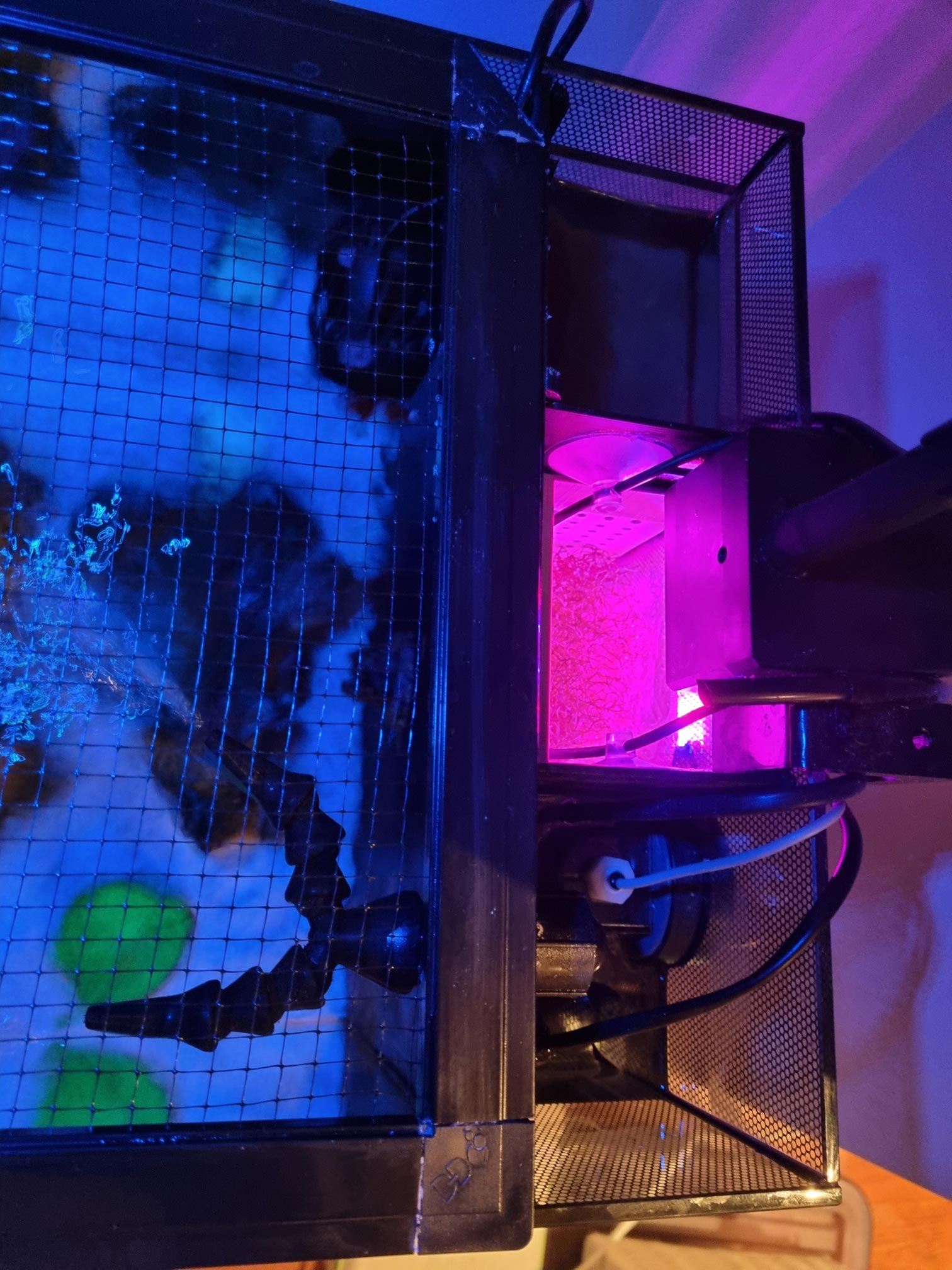 Fluval SEA Evo Refugium + Light Chamber 2