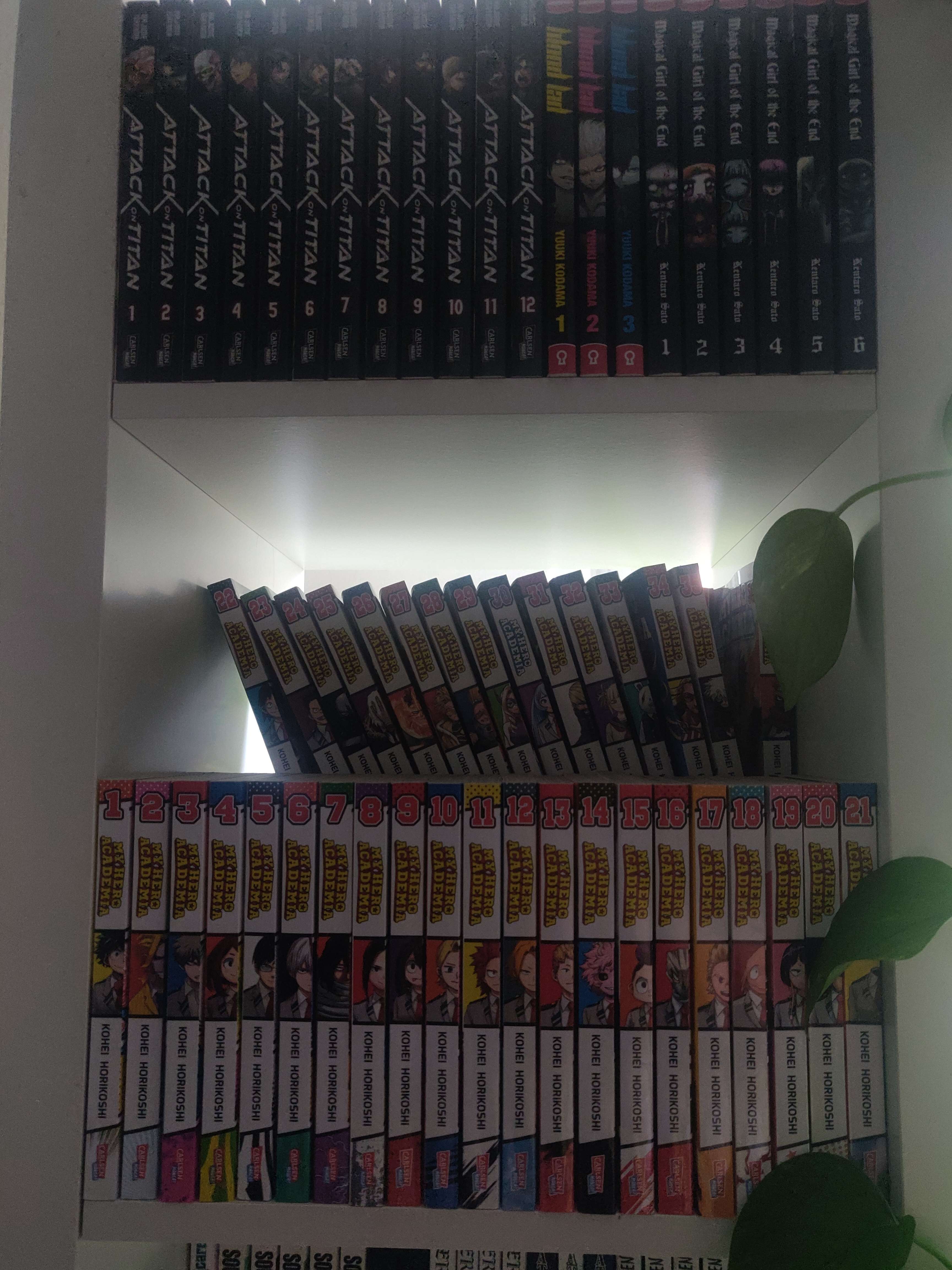Bücher Podest (Kallax)