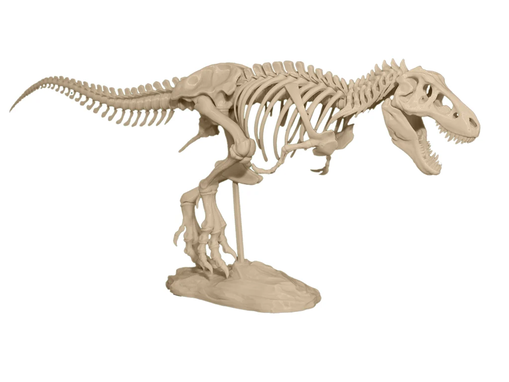 T-Rex Skeleton
