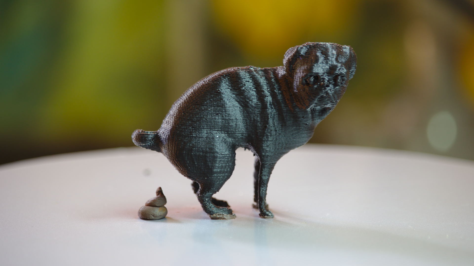 Edgar, the PewDiePie's pooping dog