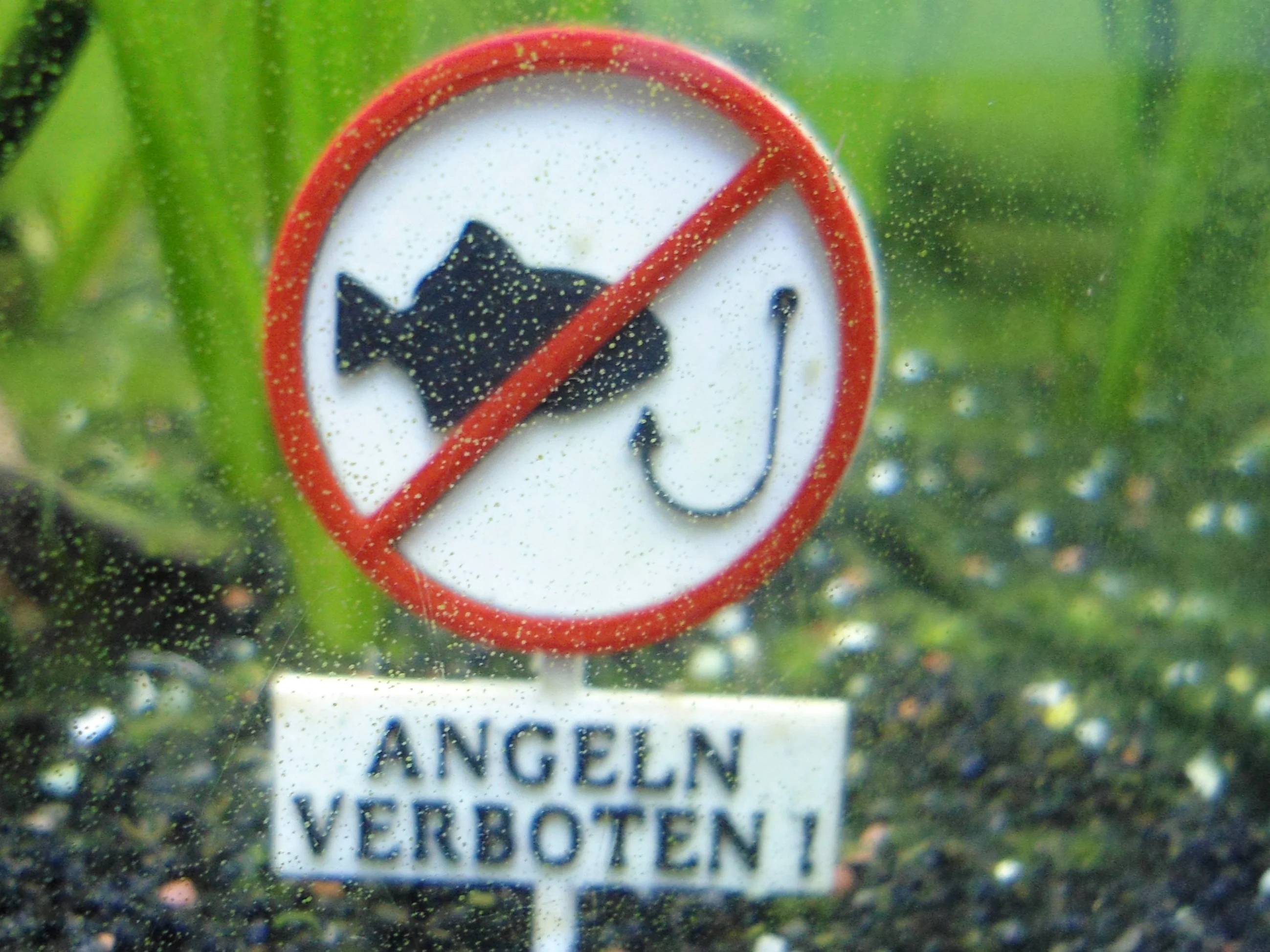 Aquarium Schild