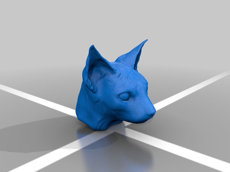 Sphynx Cat head