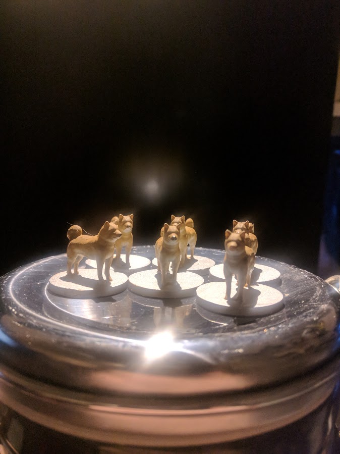 Shiba Inu Miniature