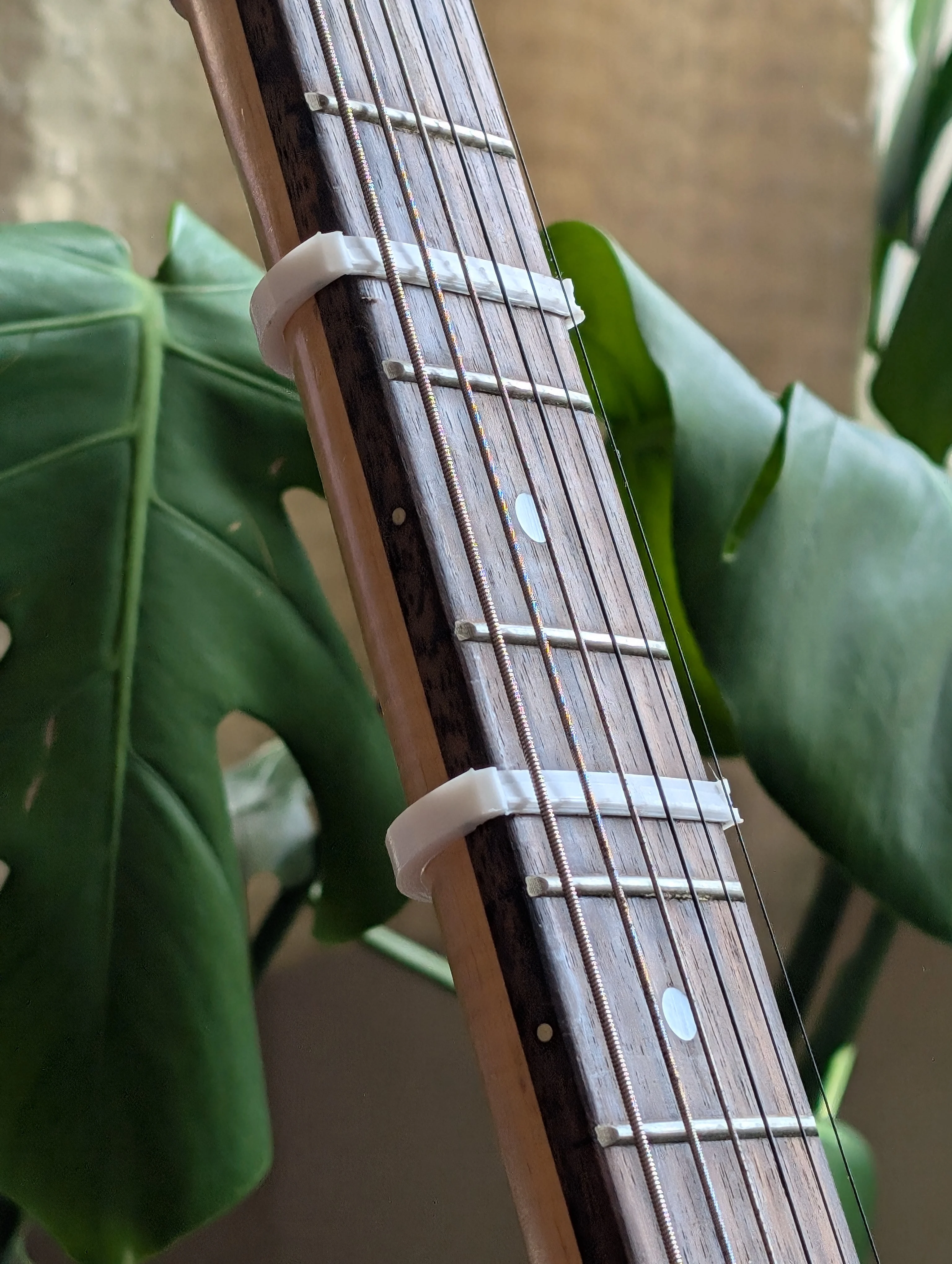 microtonal fret addon (5th fret adjust size for fretboard width)