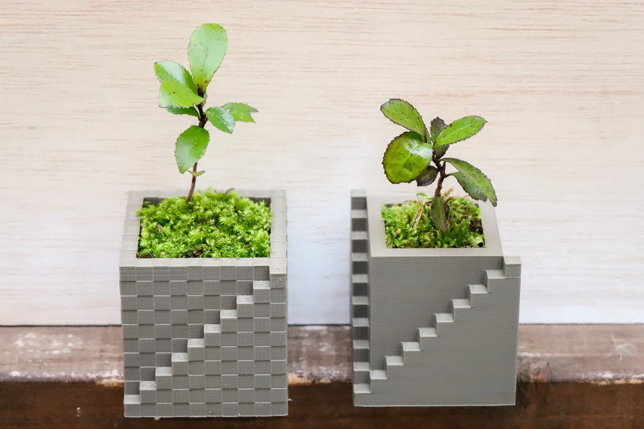 Stair Cube Pot