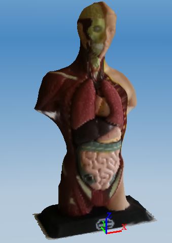 Digitized model of the human body with internal organs