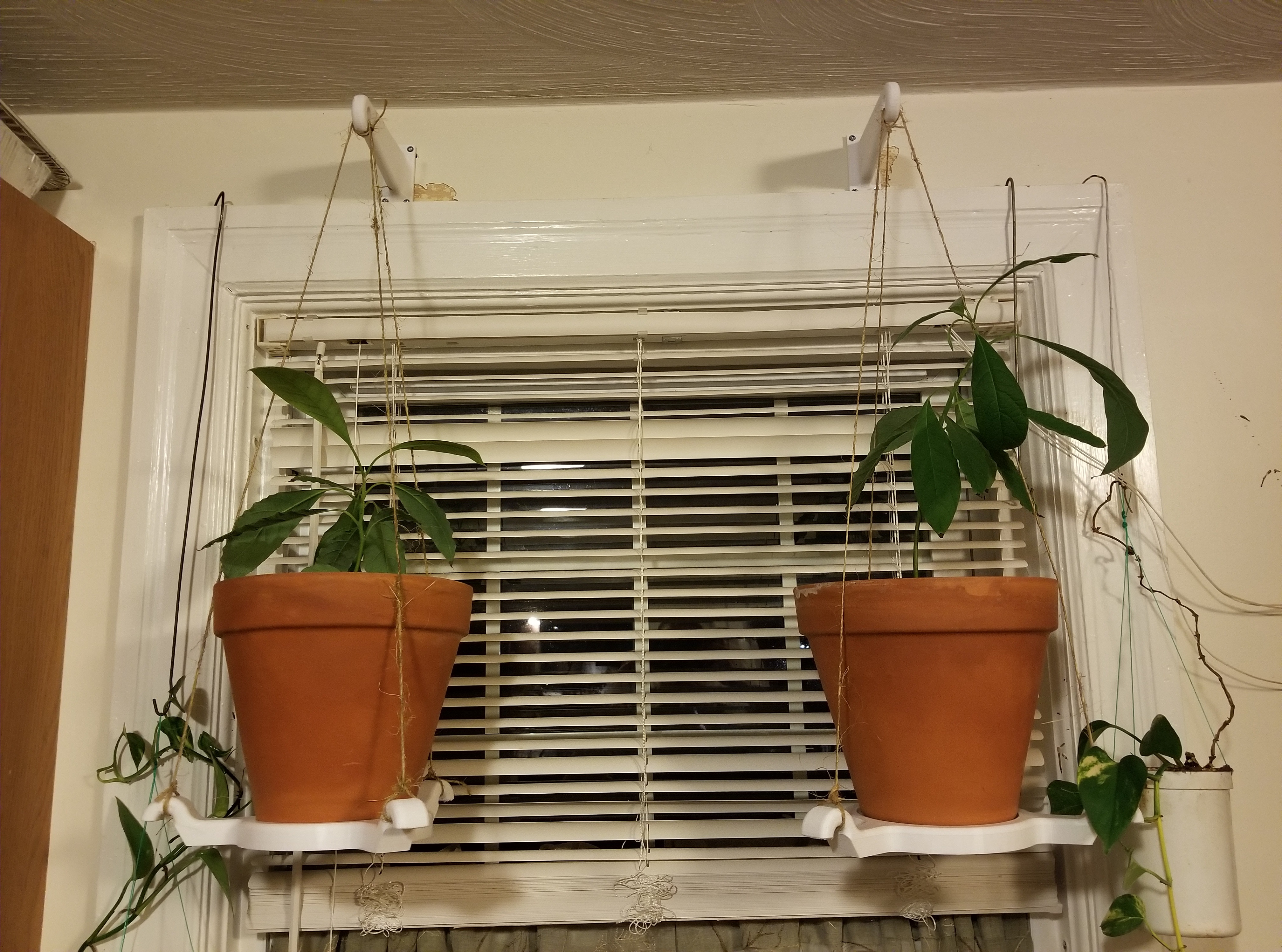 Indoor Plant Pot Hanger