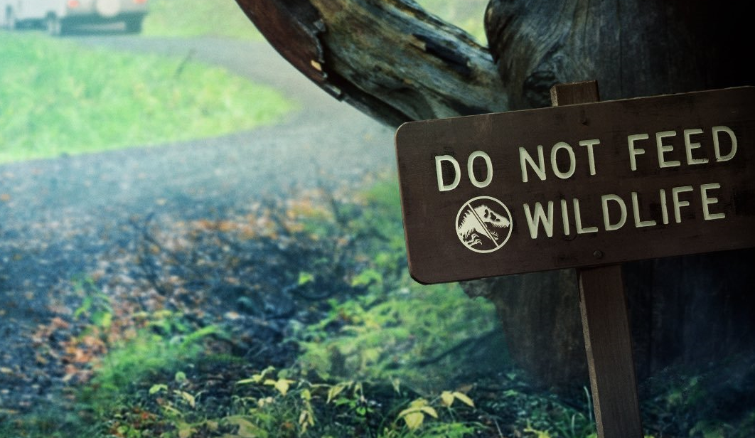 JW - DO NOT FEED WILD LIFE sign