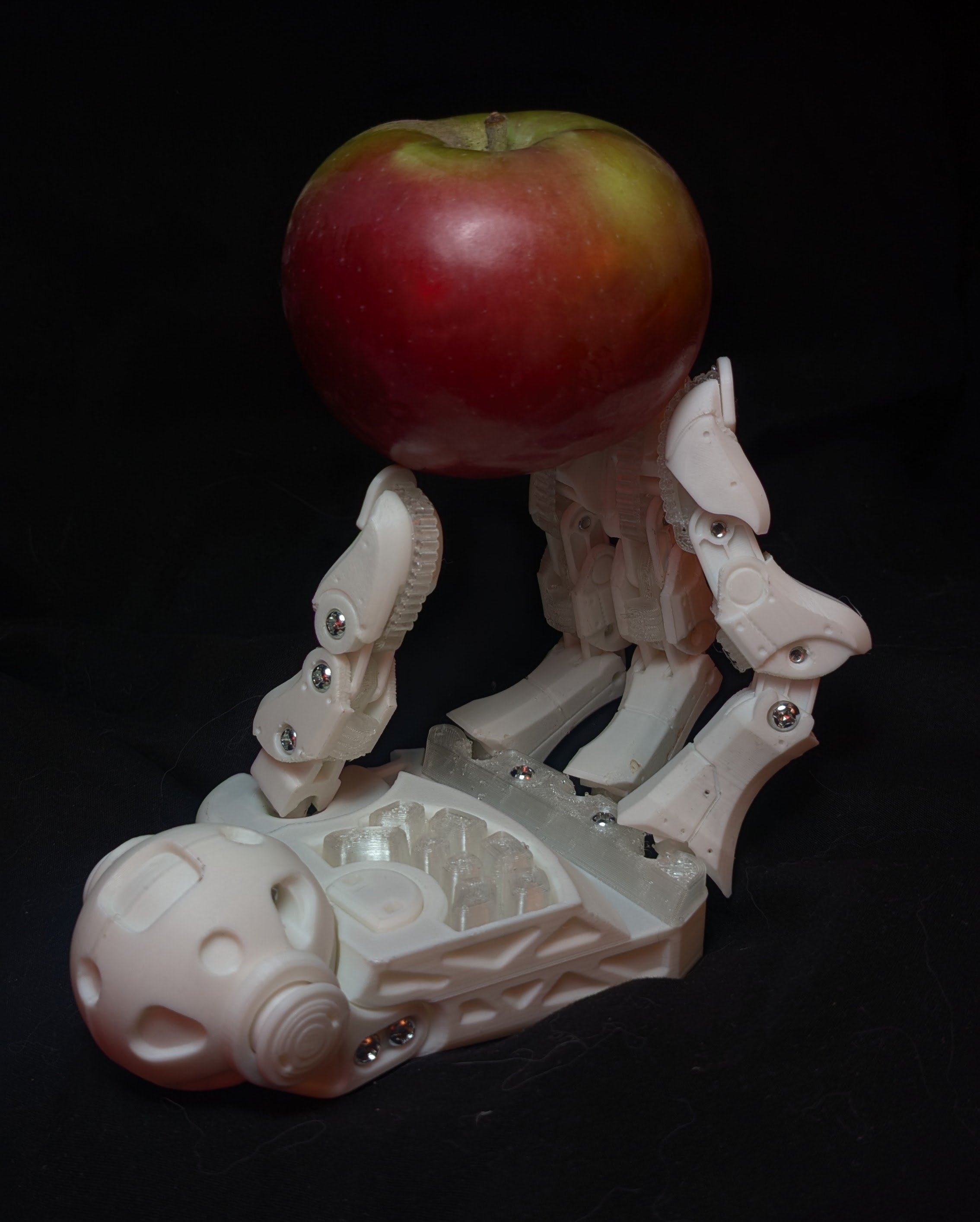 Poseable Cyberpunk Hand