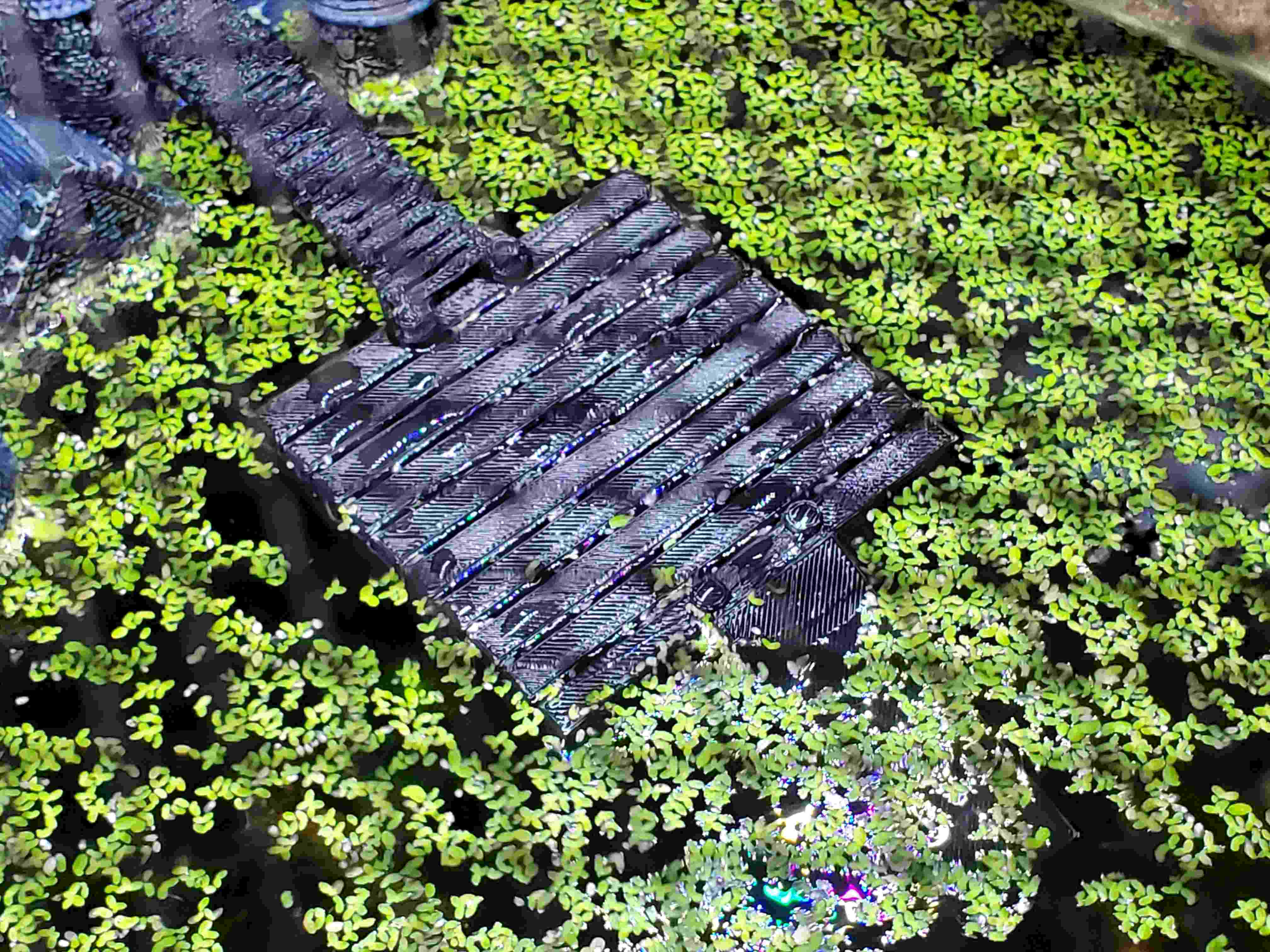 Amphibian floating dock