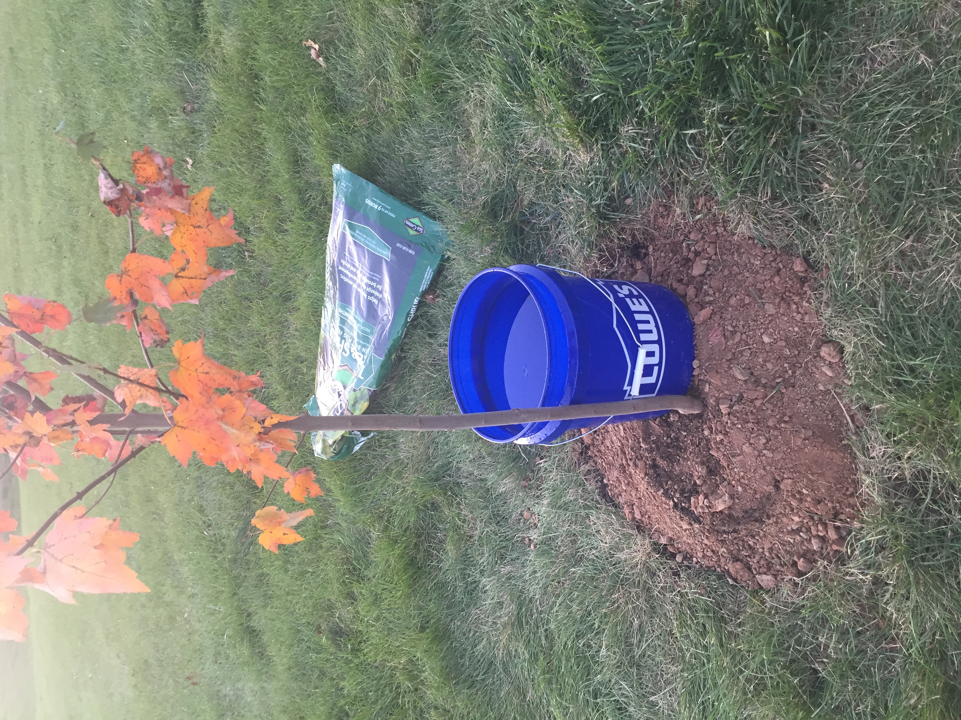 Portable Watering System for Trees and Garden