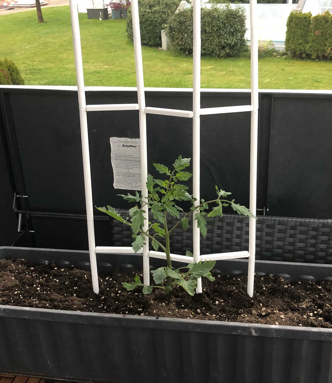 plant support - Blumenstütze