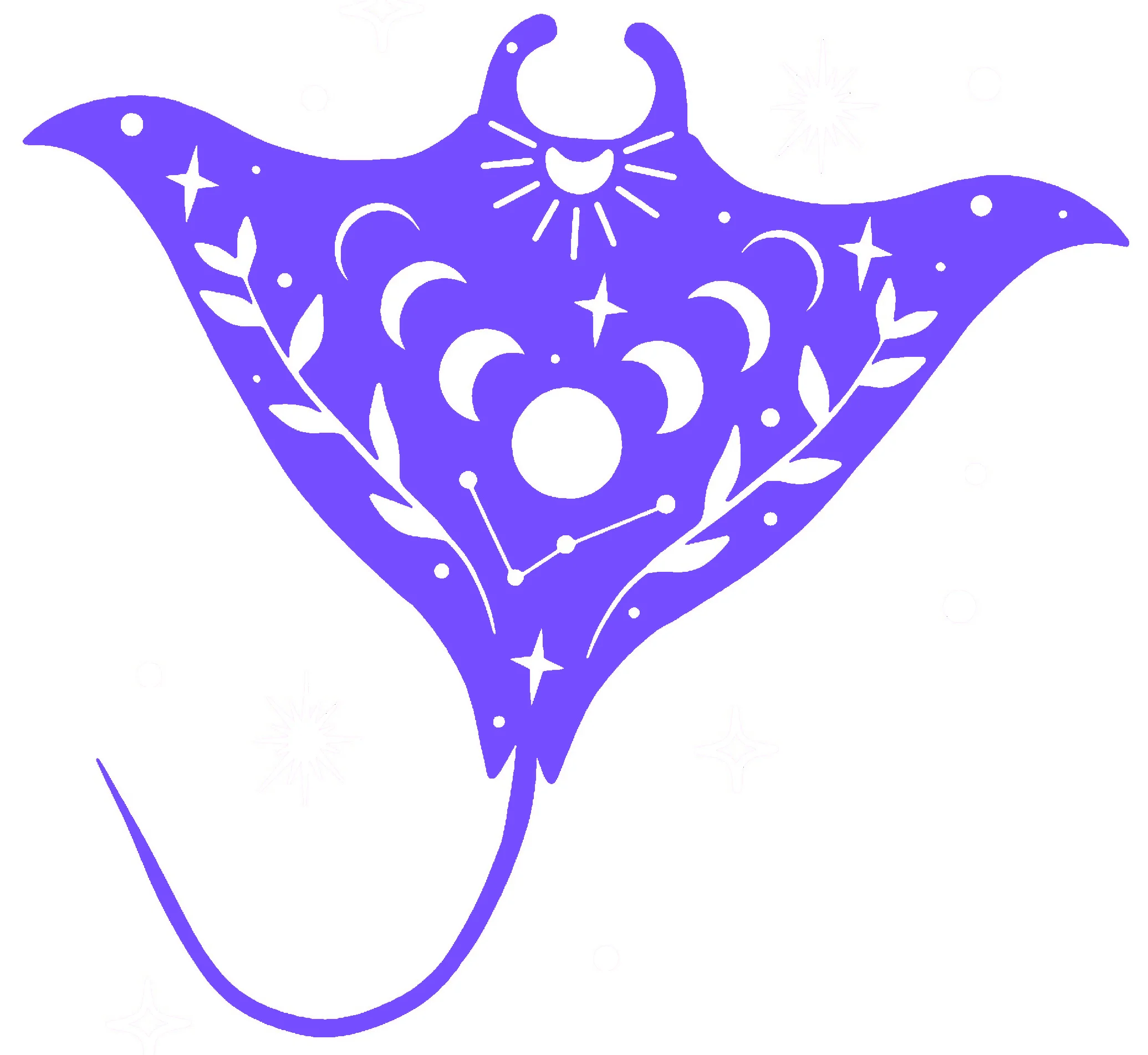 2d Stingray