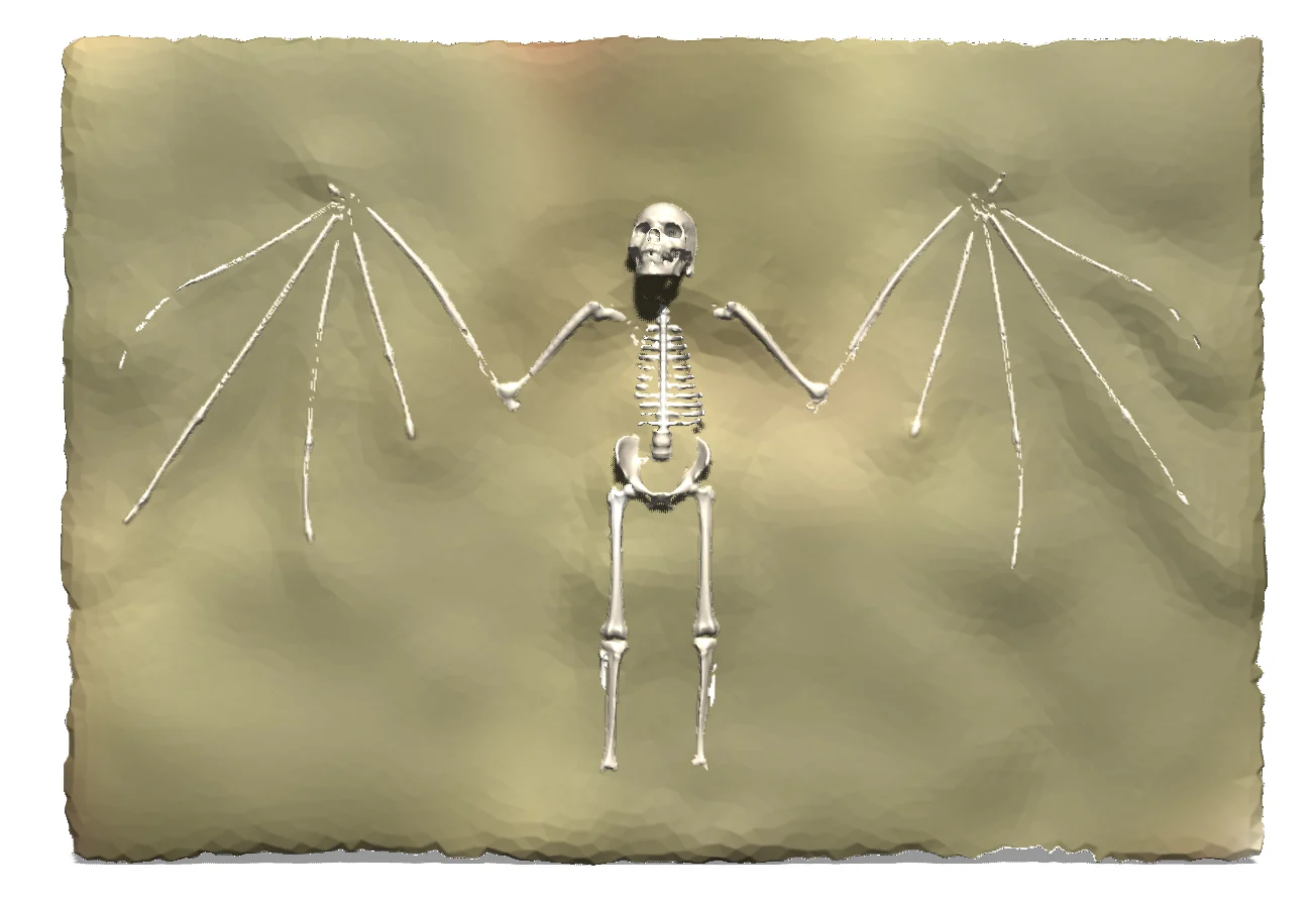 Homo nosferatu vampiris Dracula Vampire Fossil