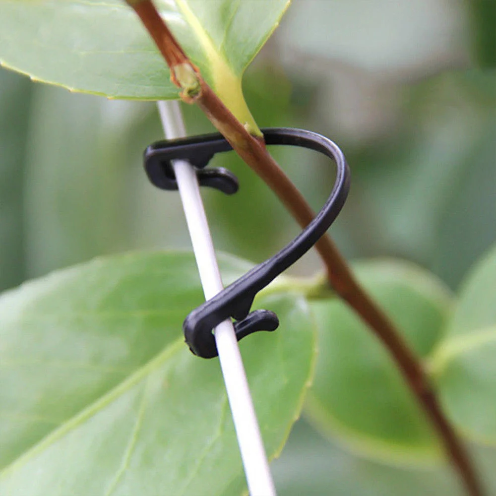 Tomato Clips Trellis, Vegetable Binder (Garden)