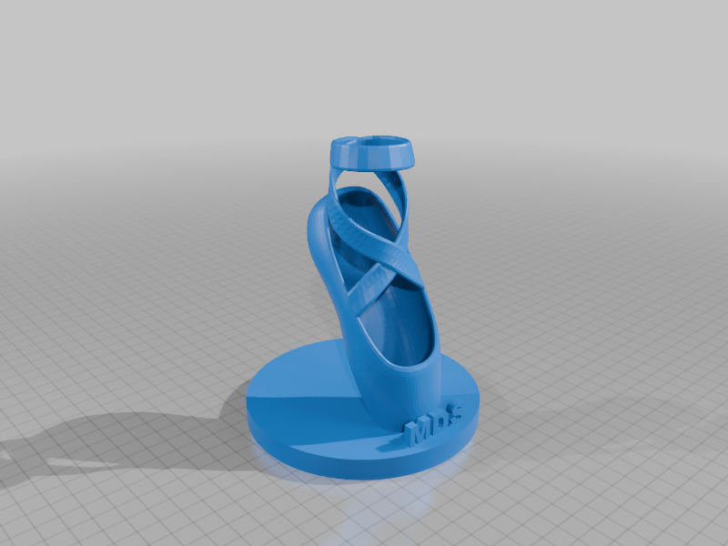 MDS Ballet Slipper