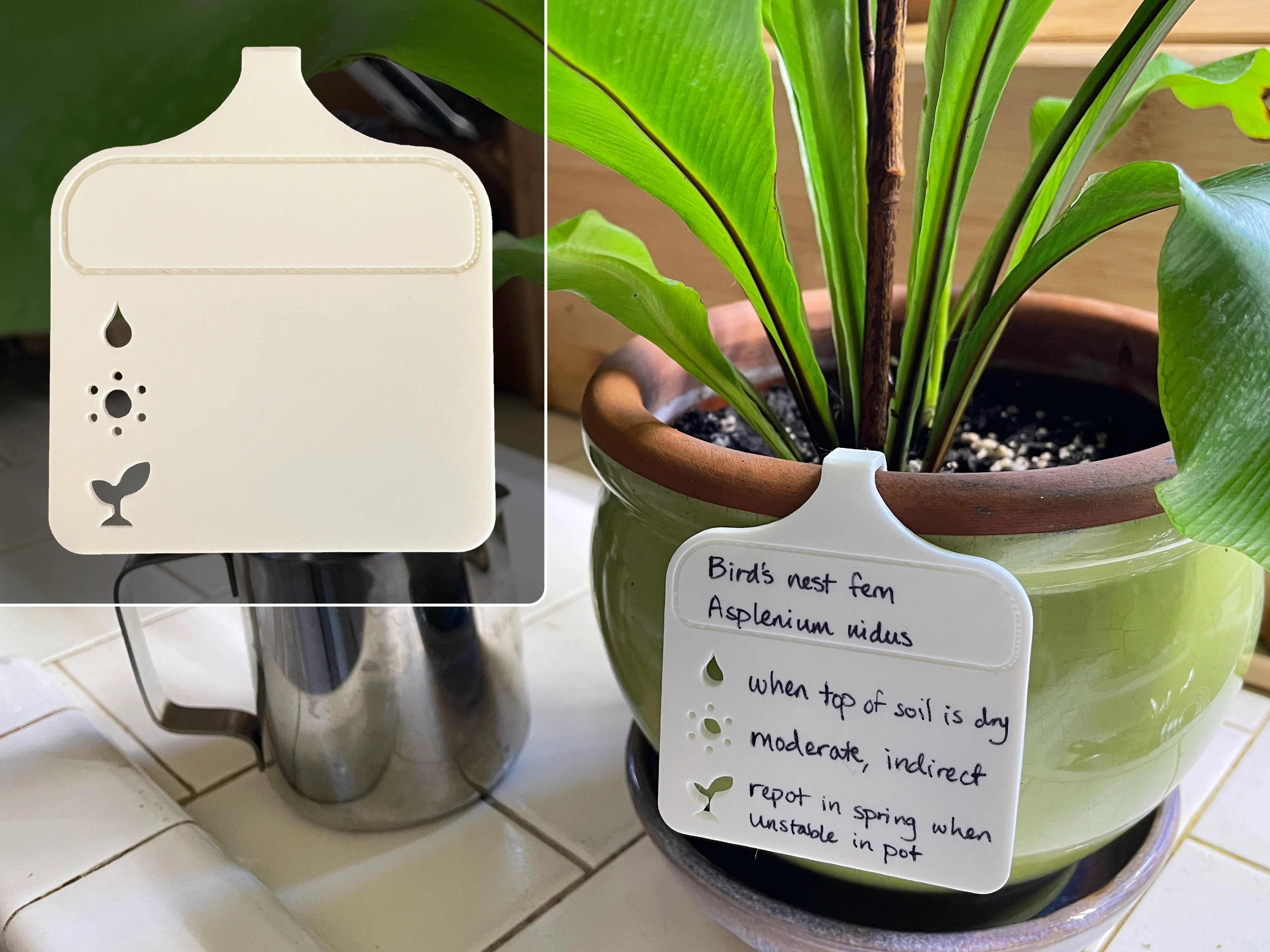 Houseplant Write-On Care Tag