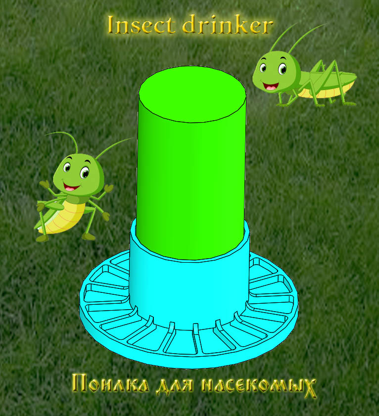 Insect drinker