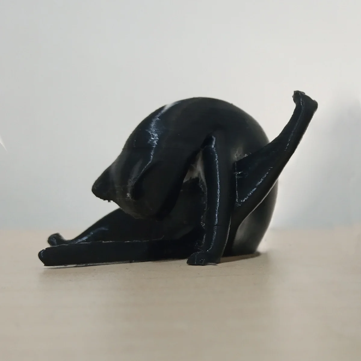 licking Cat