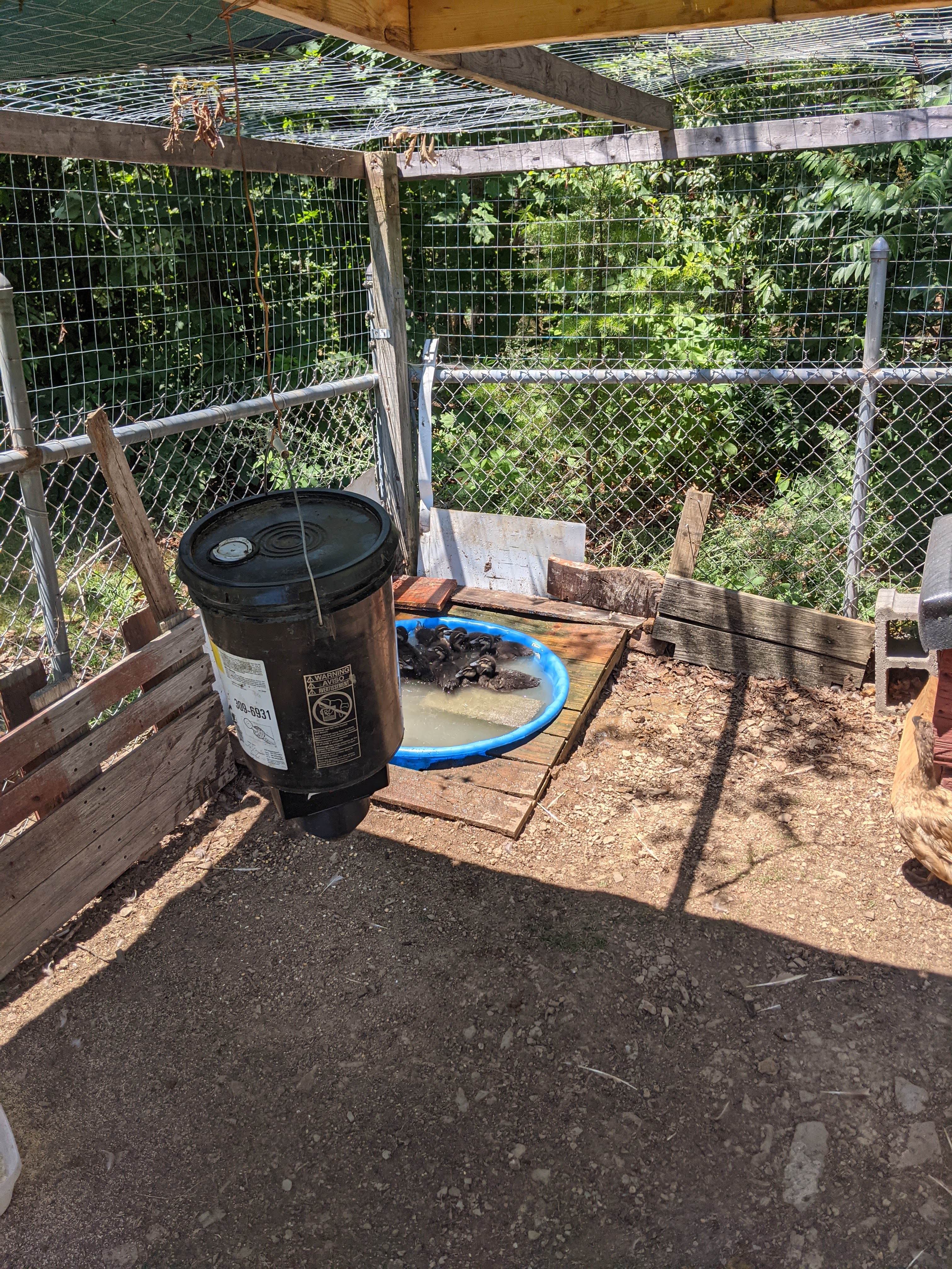 Automatic Poultry Feeder Funnel