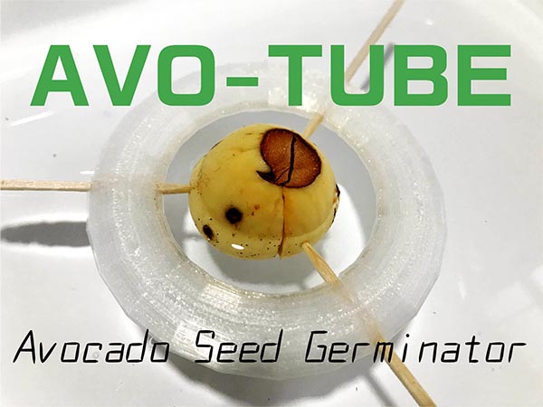 AVO-TUBE: Avocado seed germinator