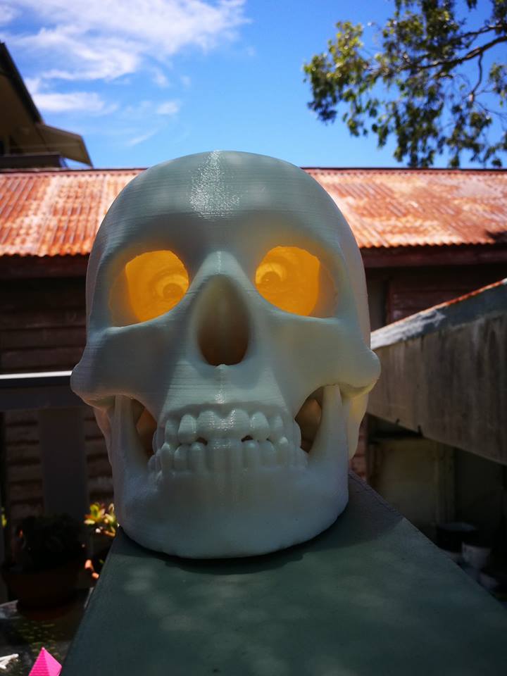 skullophane crazy dave.