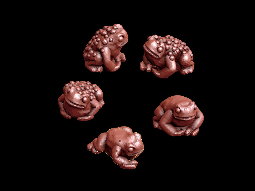 Toads
