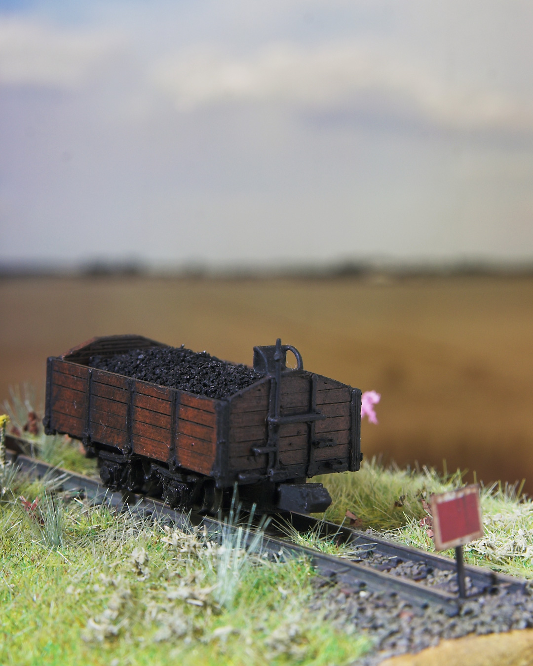 1/120 scale TTm 1000mm narrow gauge coal wagon 6t