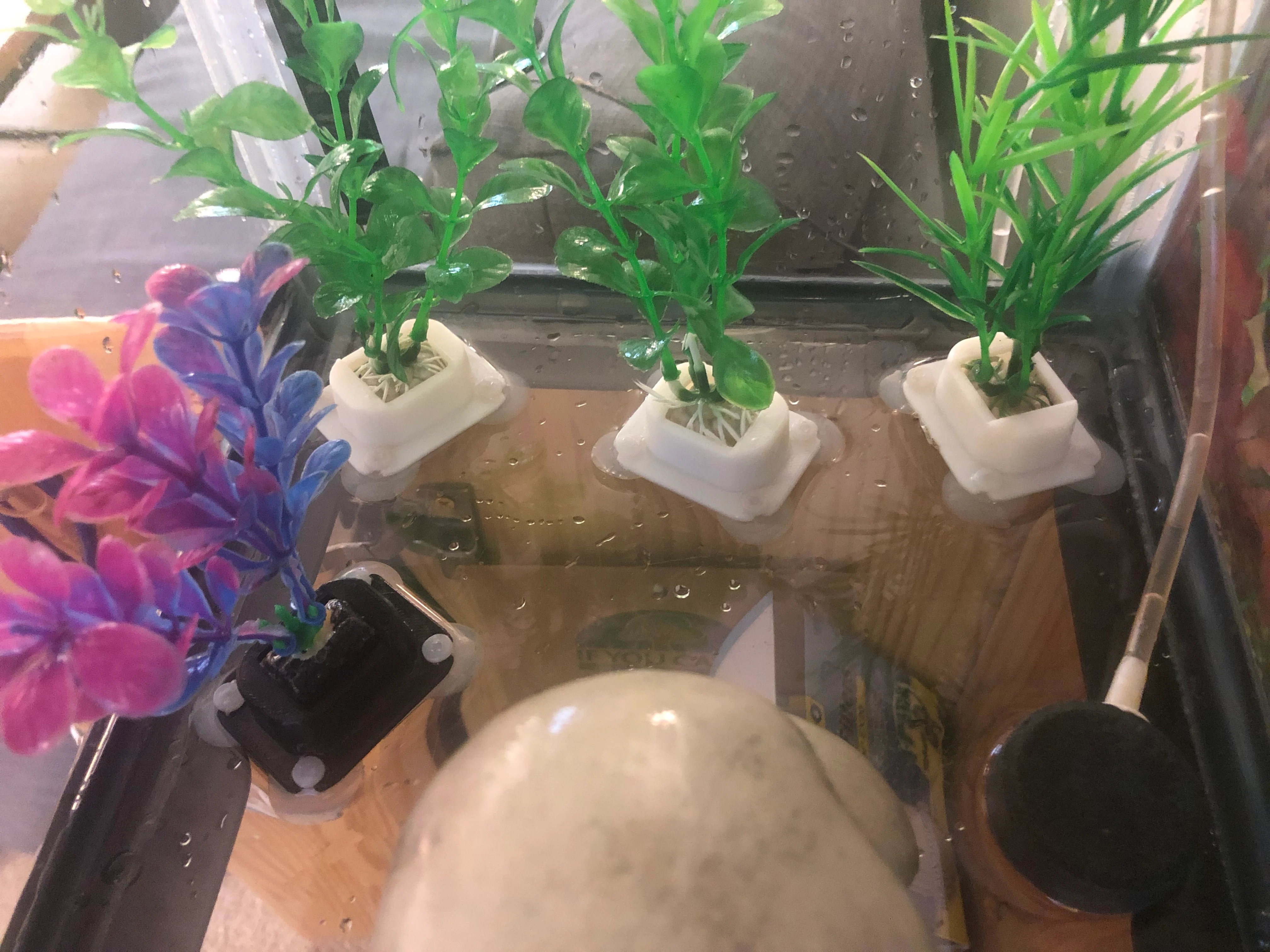 Fish Tank Plant Holder Suction Cup