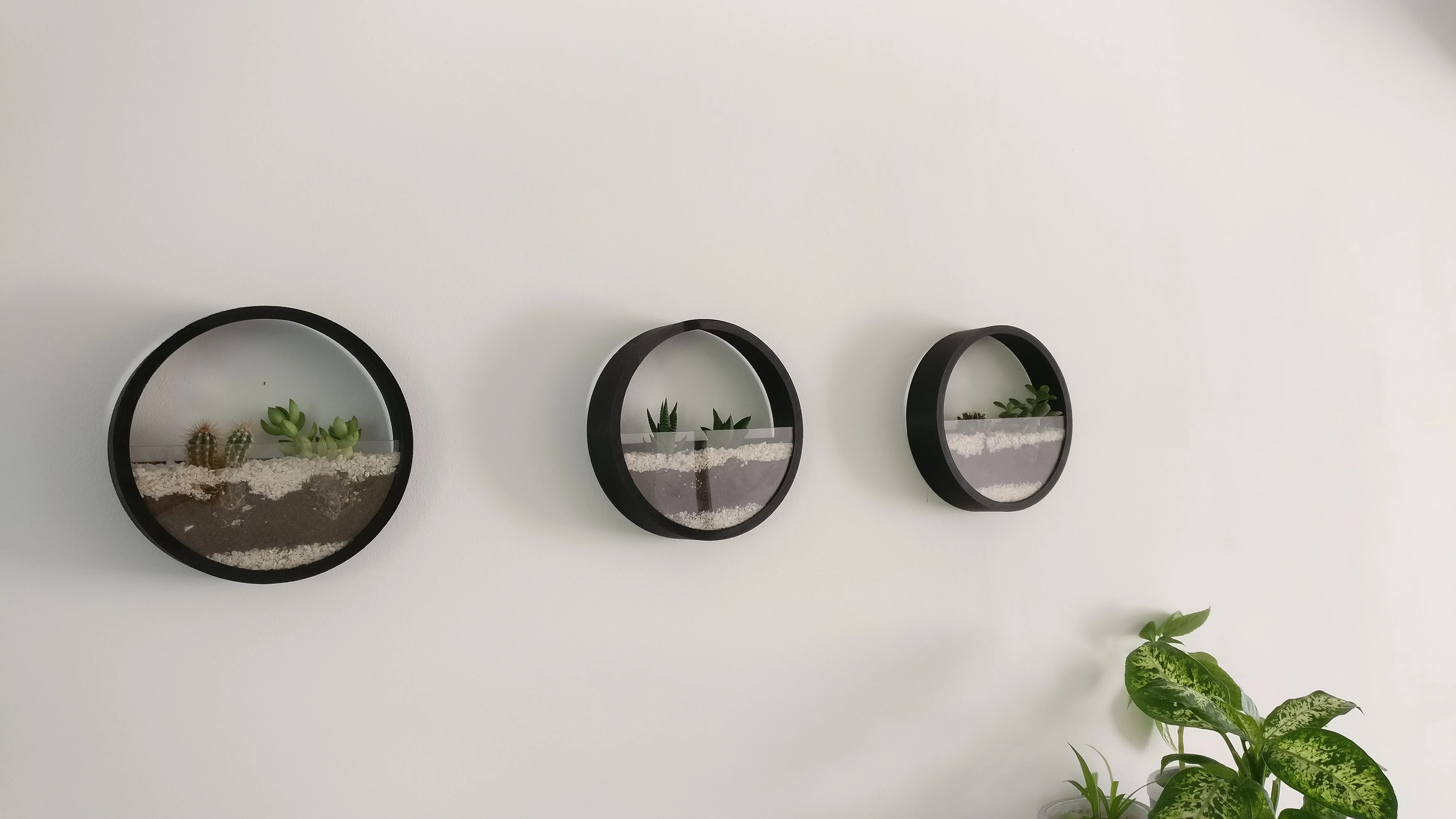 Terrarium