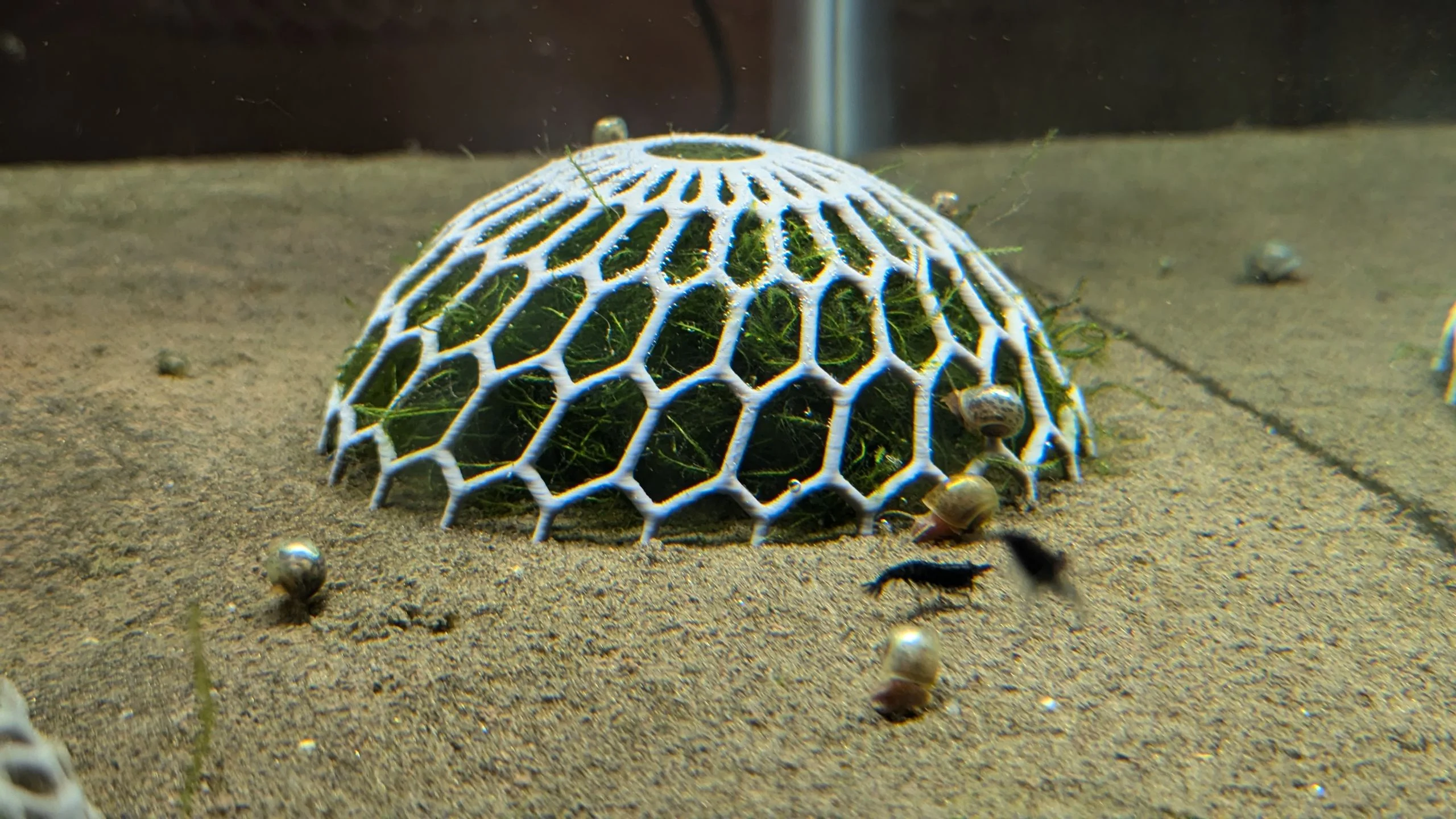 Moss Dome Plant Holder (easier to print) remix