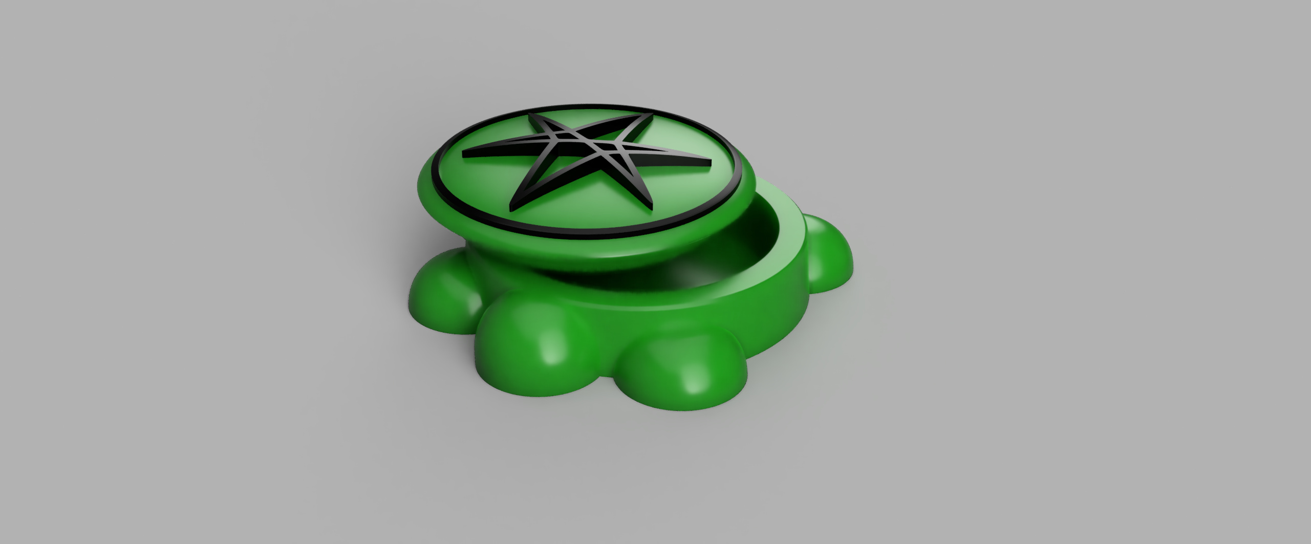 Sandpit Turtle