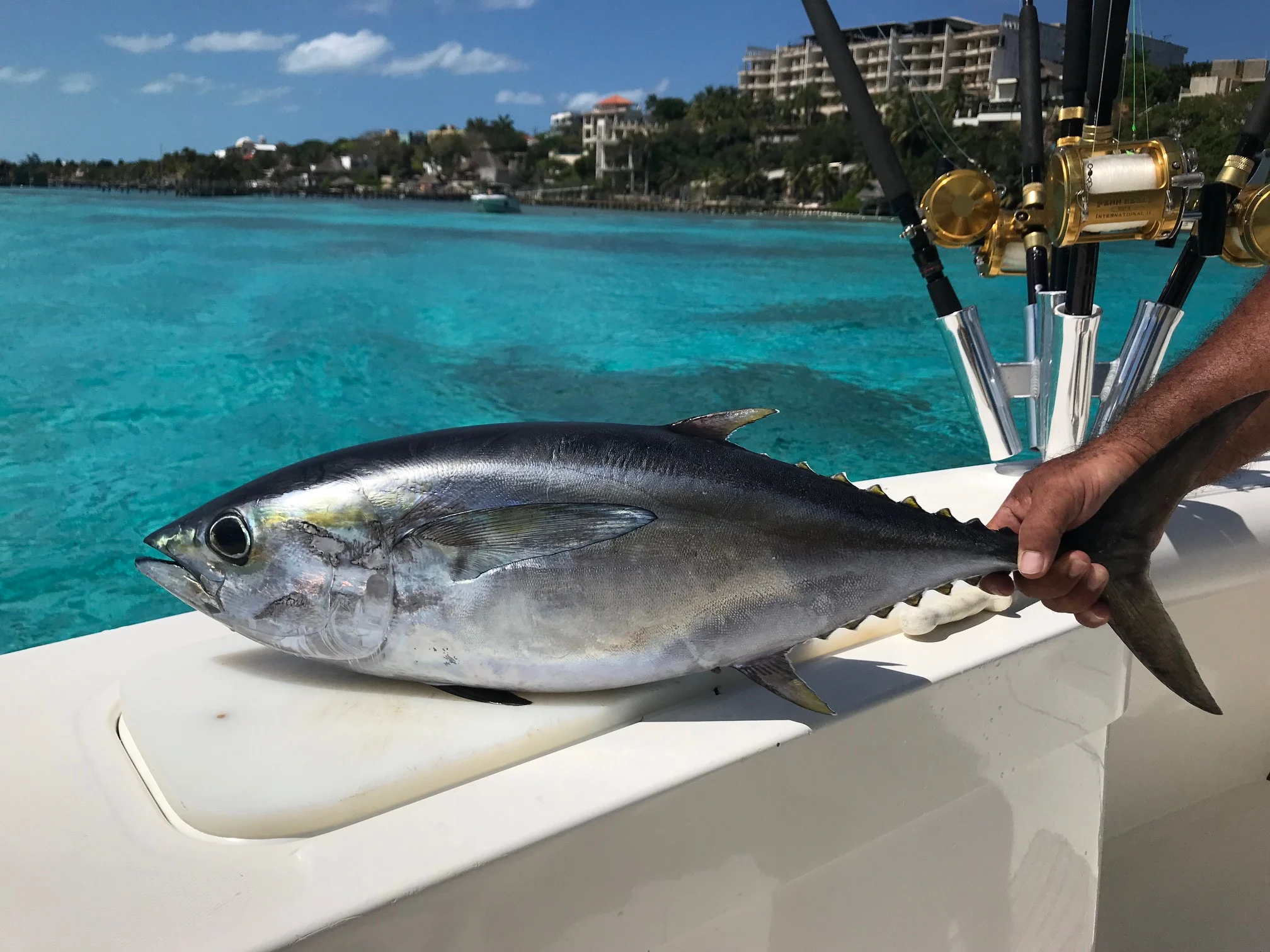 Saltwater Fishing Lure