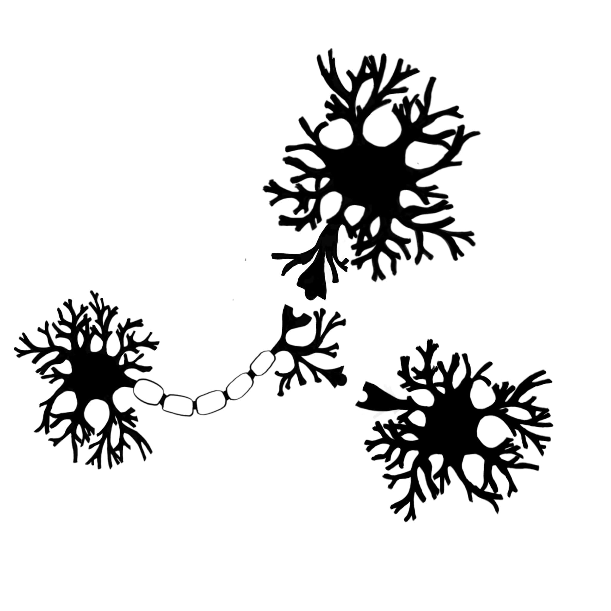 Neuron Connection Puzzle