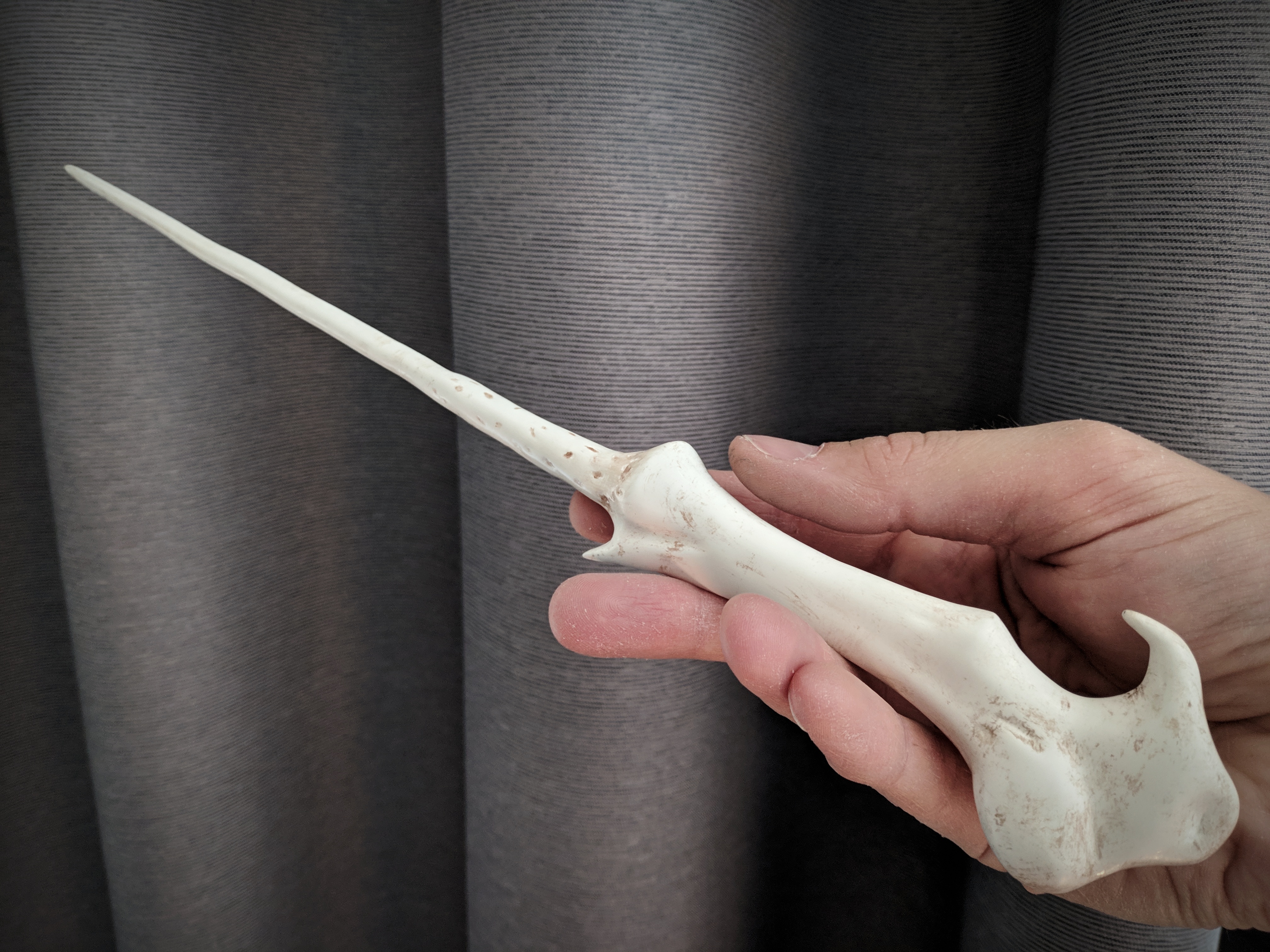 Voldemort's Wand